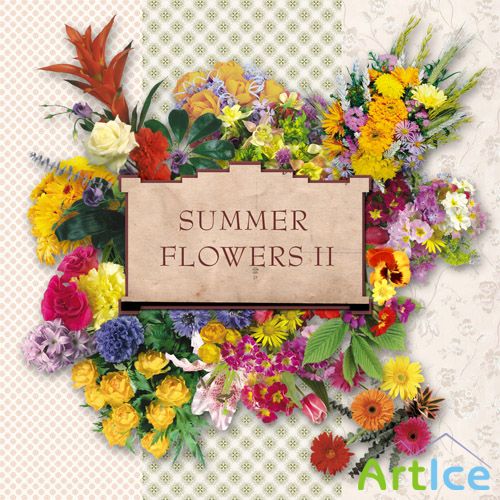 Scrap-set - Summer Flowers 2