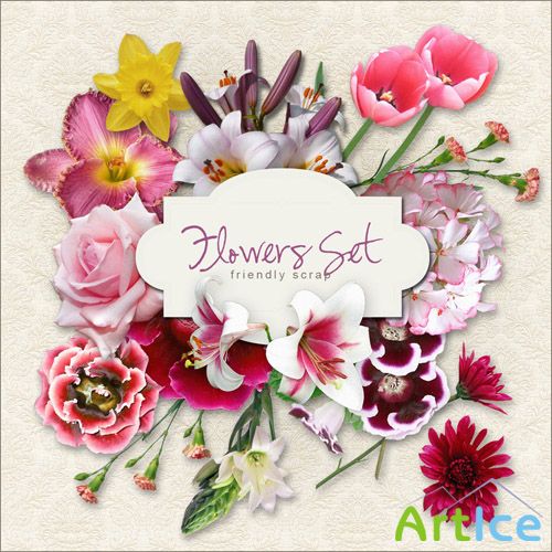 Scrap-kit - Flowers PNG Cliparts MIX