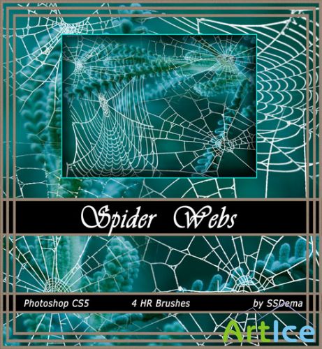 Spider Web Photoshop Brushes