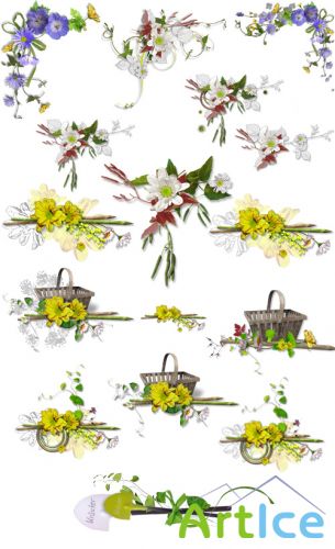 Scrap Set - Beautiful Summer Flowers PNG Files