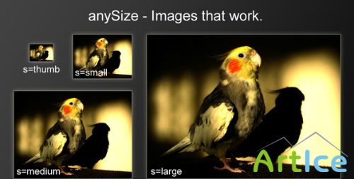 CodeCanyon - anySize - Caching image resizer