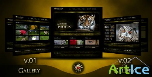 ThemeForest - Modern Photographer Portfolio - 2 Gallery versions