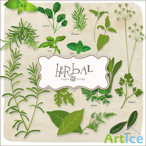 Scrap Set - Herbal PNG Files