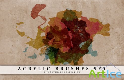 Acrylic Brushes Set