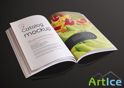 Pixeden - Psd Magazine Mockup Template