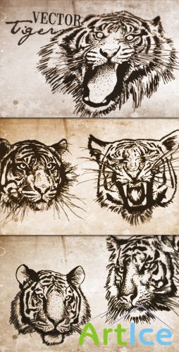 WeGraphics - Vector Tigers