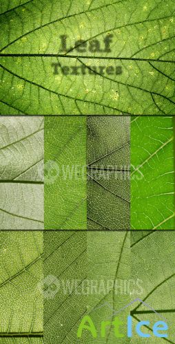 WeGraphics - Leaf Textures Vol. 1