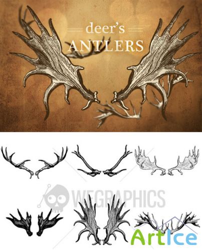 WeGraphics - Deers antler illustrations