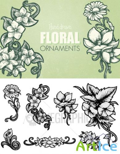 WeGraphics - Hand Drawn Floral Ornaments