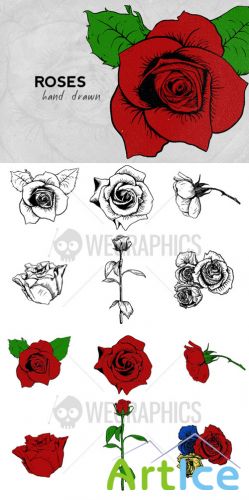 WeGraphics - Hand drawn roses