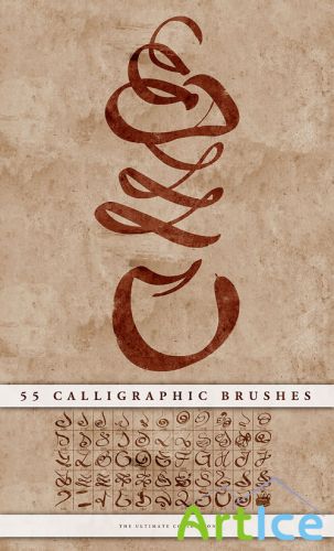 55 Calligraphic Brushes