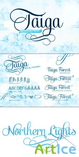 Exclusive Taiga Fonts