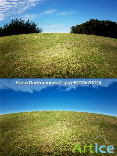 Grass Backgrounds