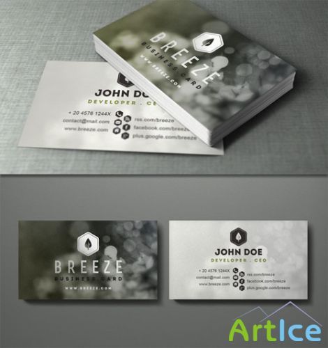 Pixeden - Psd Corporate Business Card Vol 6