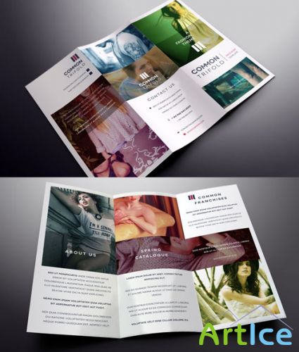 Pixeden - Simple Tri Fold Brochure Template