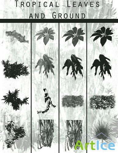 Tropical Leaf brushes.abr