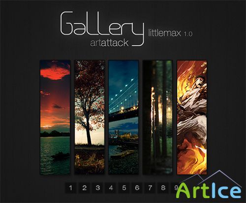 PSD Web Design - Gallery LittleMAX 1.0