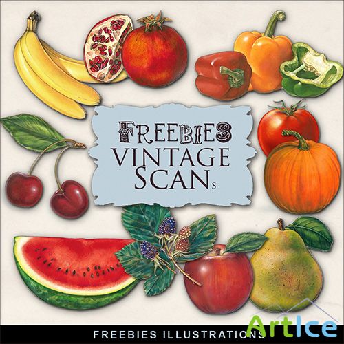 Scrap-kit - Fruit Vegetable Illustrations