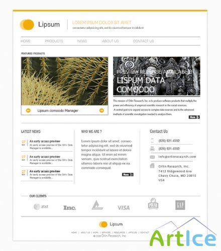 Minimal Website Design PSD Template