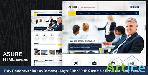 ThemeForest - ASURE - Multi Purpose HTML Template - RIP