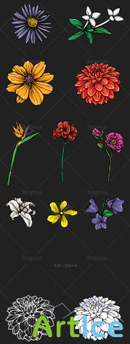 Floral Vector Set 109