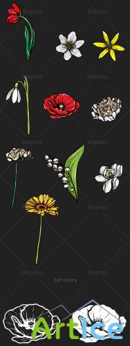 Floral Vector Set 108