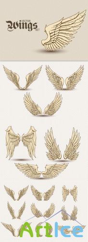 Designtnt - Detailed Vector Wings