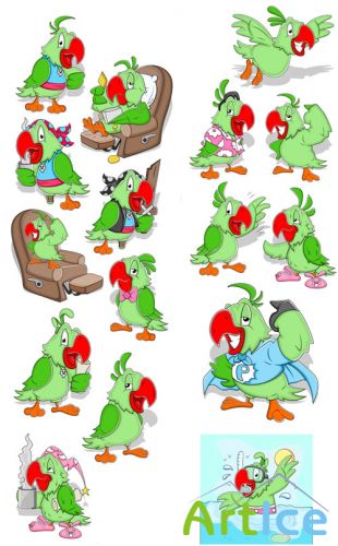 Parrot Illustrations Vector Set