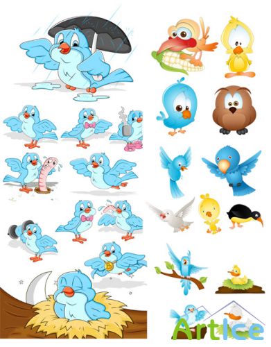 Cartoon Birds Vector Set