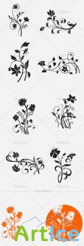 Floral Vector Set 116