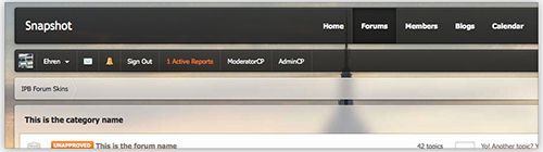 IPB Skin - Snapshot Skin for IPB 3.4.x