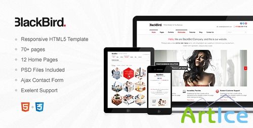 ThemeForest - BlackBird - Responsive HTML5 Template - RIP