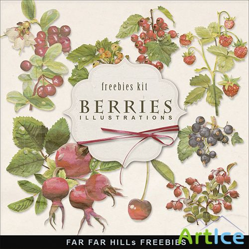 Scrap-kit - Berries PNG Images