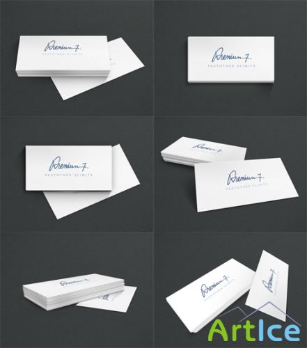 Business Card Mockup Vol.3