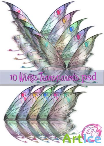 10 Wings Transparents PSD Template