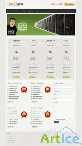 BizzThemes - Hosting Pro - Theme For WordPress