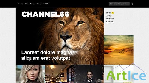 ThemesKingdom - Channel66 v1.2 - Business WordPress Theme