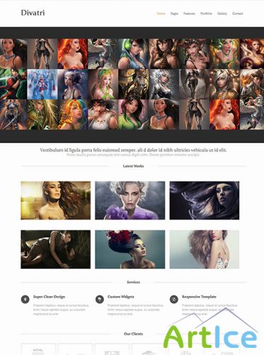 DreamTemplate - divatri - Responsive Website Template