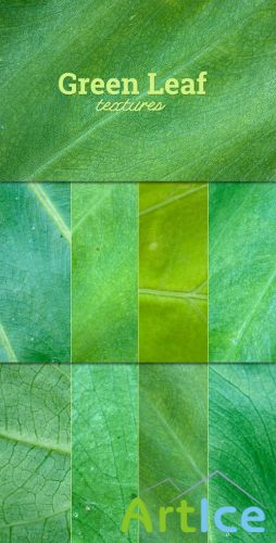 WeGraphics - Green Leaf Texture Set