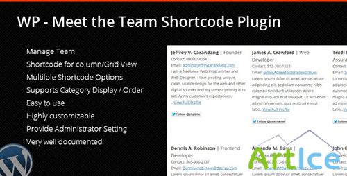 CodeCanyon - Meet The Team Plugin