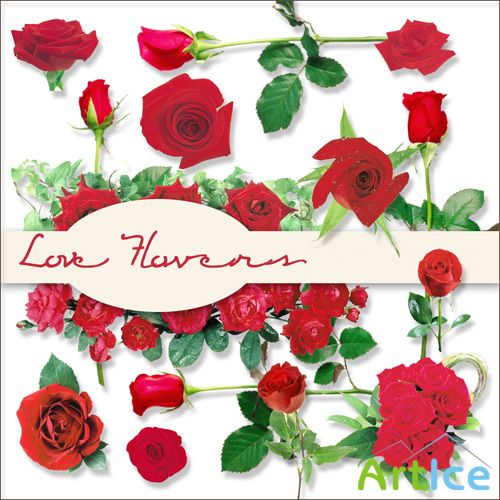 Scrap Set - Love Flowers PNG and JPG Files