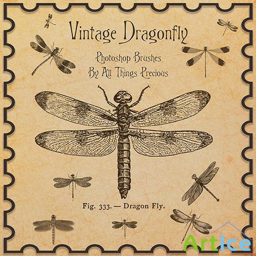 ABR Brushes - Vintage Dragonfly