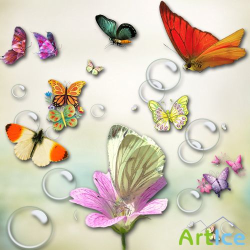 Scrap Set - Butterflies PNG Files