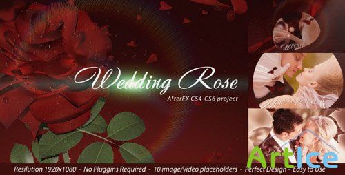 Wedding Rose - Project for After Effects (Videohive)