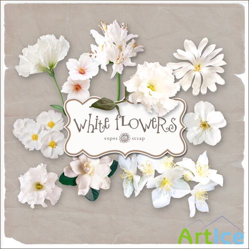 Scrap Set - White Flowers PNG Files