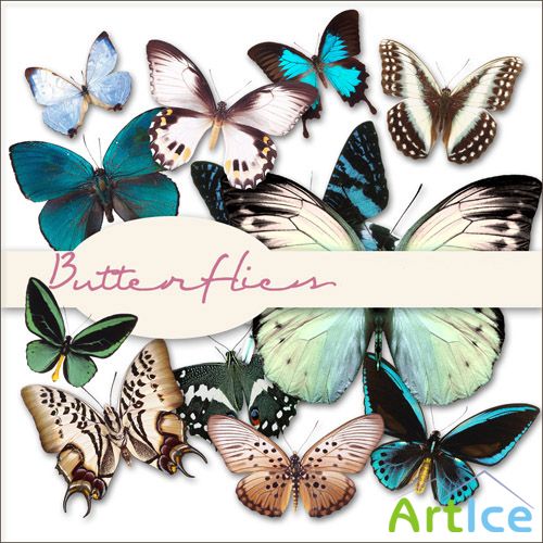 Scrap Set - Butterflies 1 PNG Files