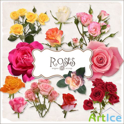 Scrap Set - Roses 2 PNG Files