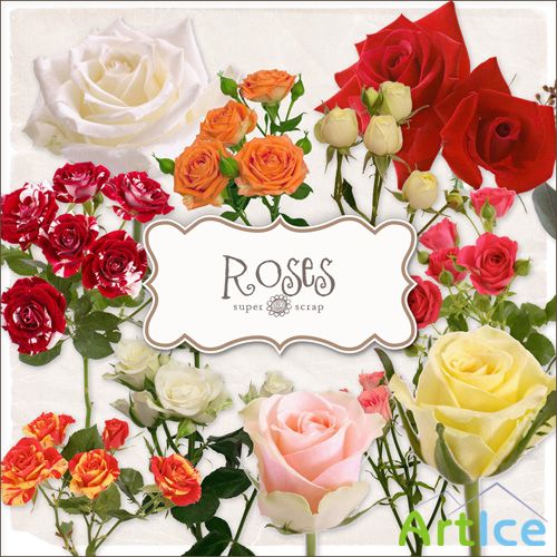 Scrap Set - Roses 3 PNG Files