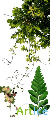 Scrap Set - Leaves and Branches PNG Files