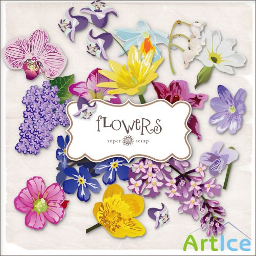 Scrap Kit - Flowers 2 PNG Files